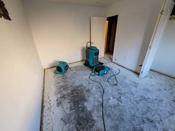 Best Carpet water damage restoration  in Temple City, CA