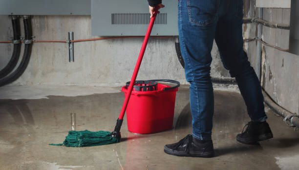 Best Ceiling water damage repair  in Temple City, CA